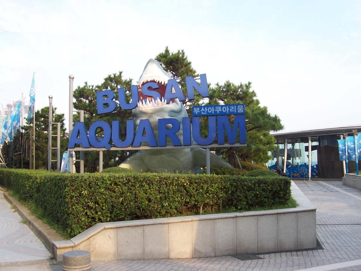 Haeundae Luxury House Apartment Busan Ngoại thất bức ảnh